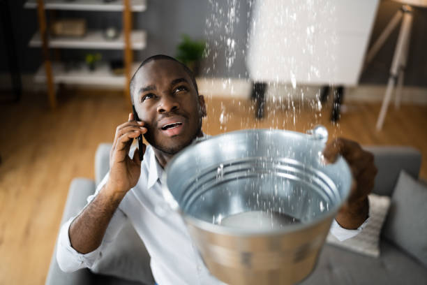 Best Water damage restoration near me  in Pleasant Grove, AL