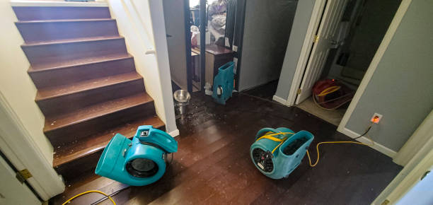 Best 24/7 water damage repair  in Pleasant Grove, AL