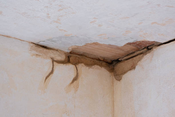 Best Water damage contractors near me  in Pleasant Grove, AL