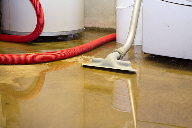 Best Professional water damage repair  in Pleasant Grove, AL