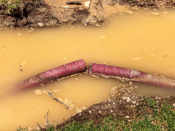 Best Residential water damage restoration  in Pleasant Grove, AL