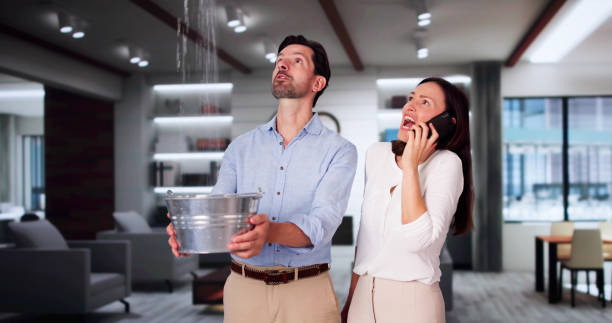 Best Carpet water damage restoration  in Pleasant Grove, AL