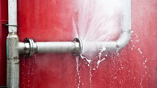 Best Ceiling water damage repair  in Pleasant Grove, AL